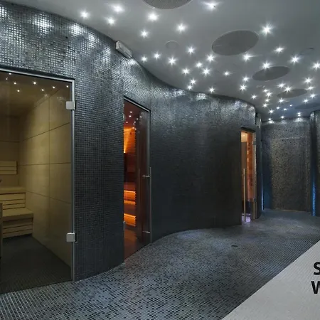 Prezident Luxury & Wellness 4* קרלובי וארי